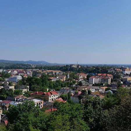 Hotel Complex Druzhba Užhorod Exteriér fotografie