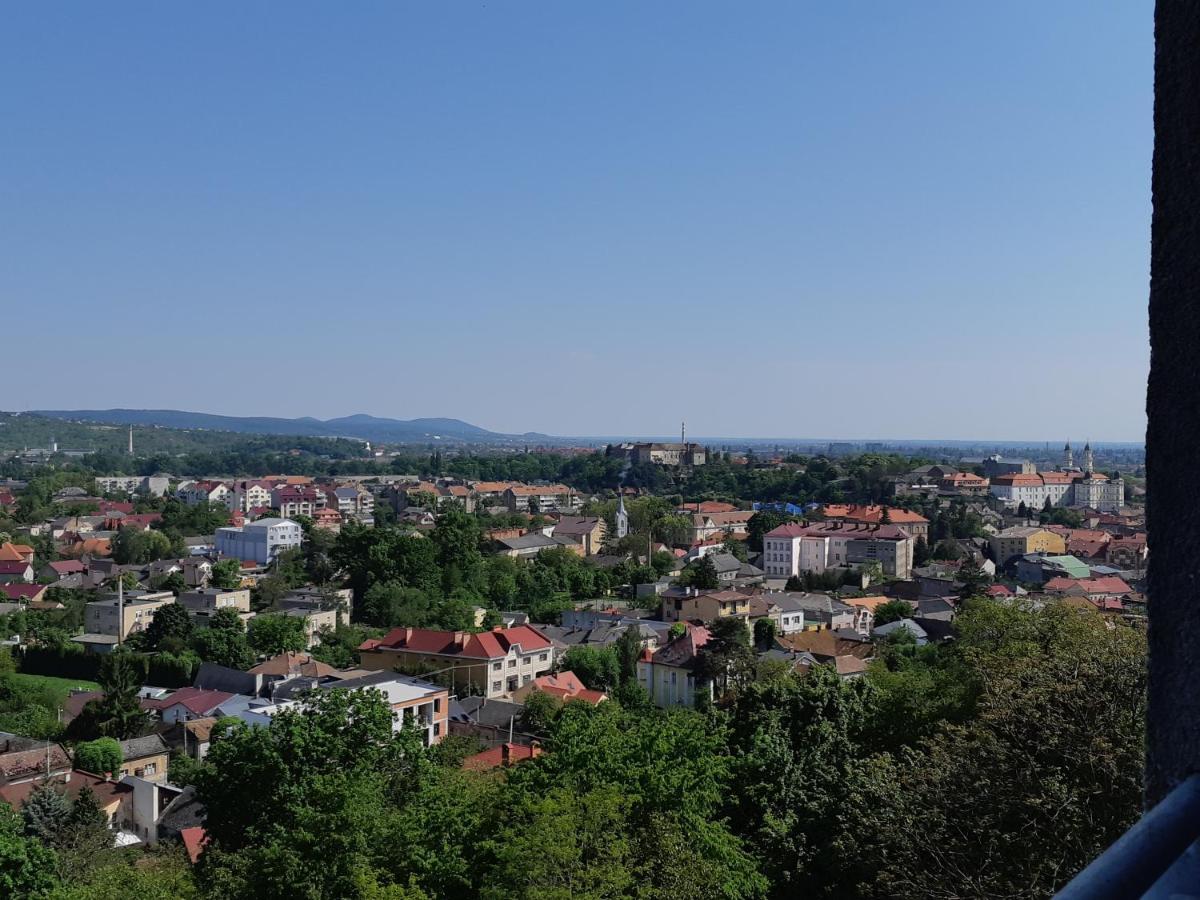 Hotel Complex Druzhba Užhorod Exteriér fotografie